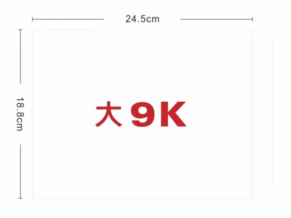 ★羅傑MORE★ 大9K白牛皮信封